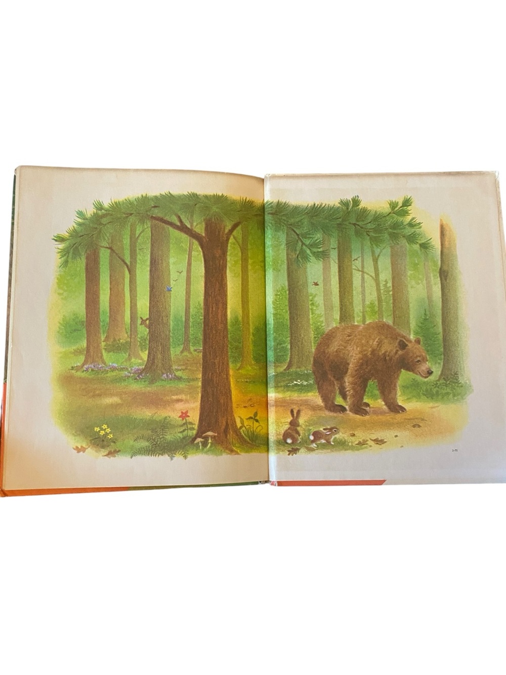 Vintage 60s hardcover Snow-White Rose-Red Rand McNally Children’s book Fairytale - Picture 8 of 10